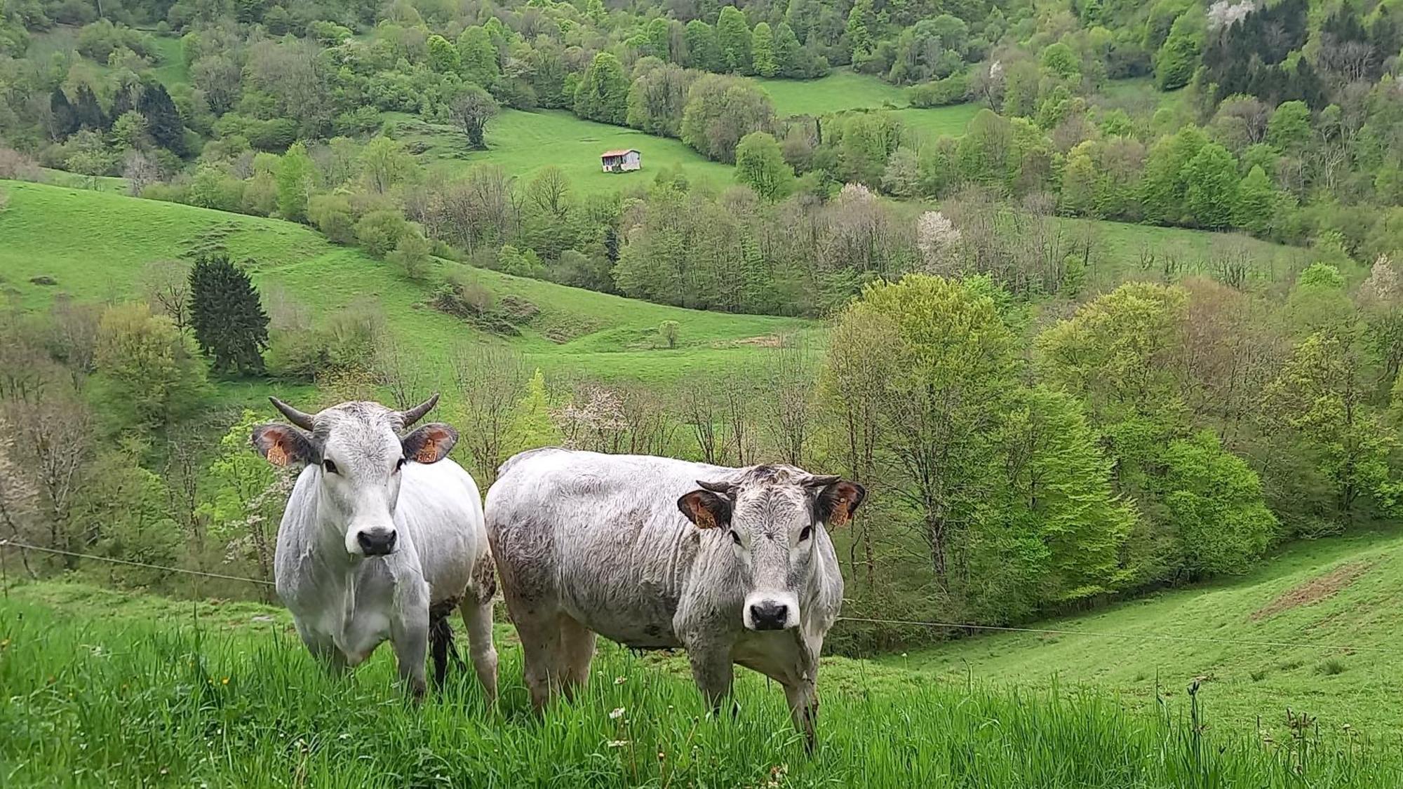 La Reclot Villa Herran Kültér fotó